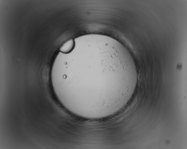 X0000103900454200809191059