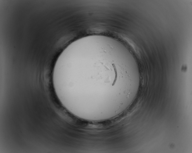 X0000103900455200809191059