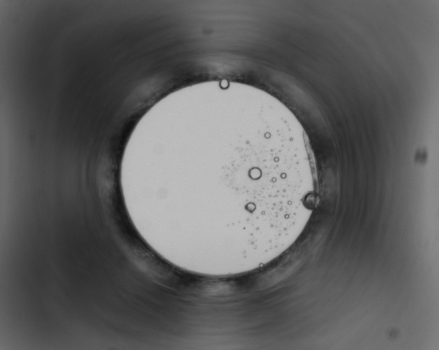 X0000103900456200809191059