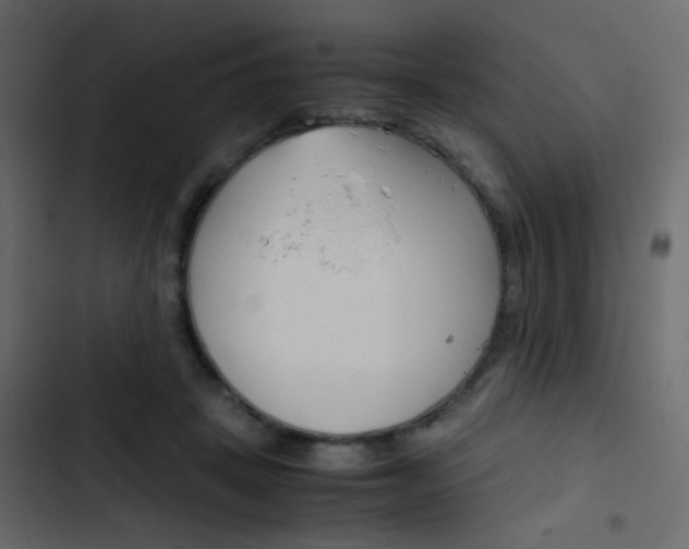X0000103900457200809191059