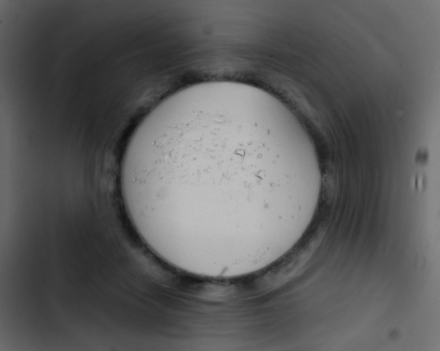 X0000103900458200809191059