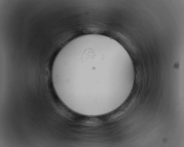 X0000103900459200809191059