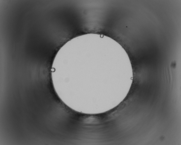 X0000103900460200809191059