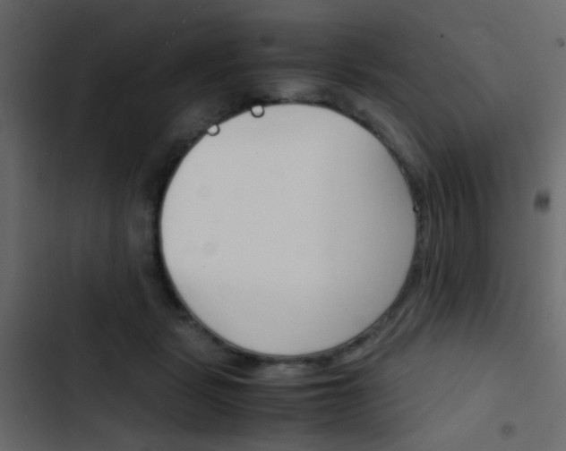 X0000103900461200809191059