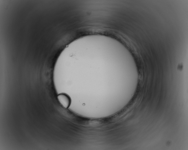 X0000103900462200809191059