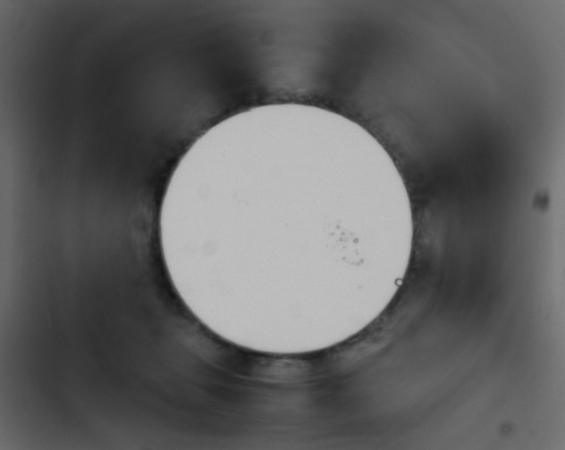 X0000103900463200809191059