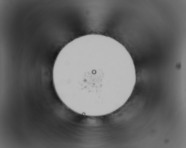 X0000103900464200809191059