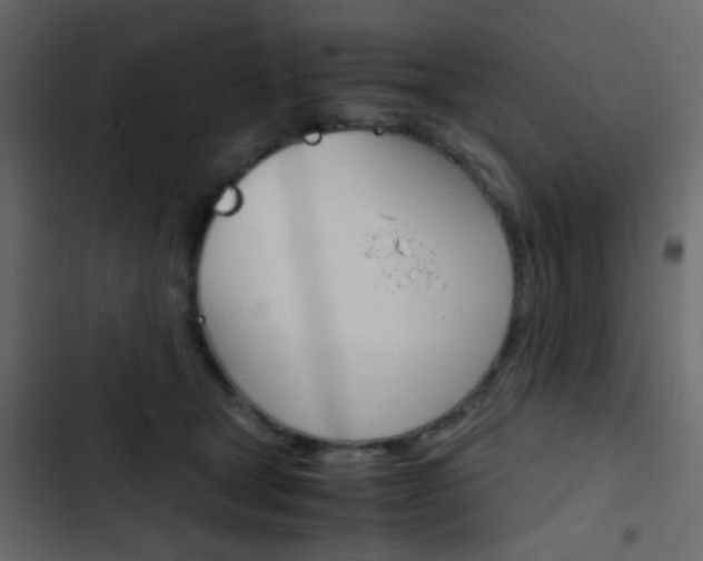 X0000103900465200809191059