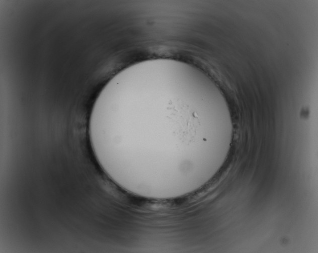 X0000103900466200809191059