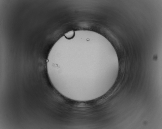 X0000103900467200809191059