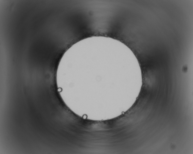 X0000103900468200809191059