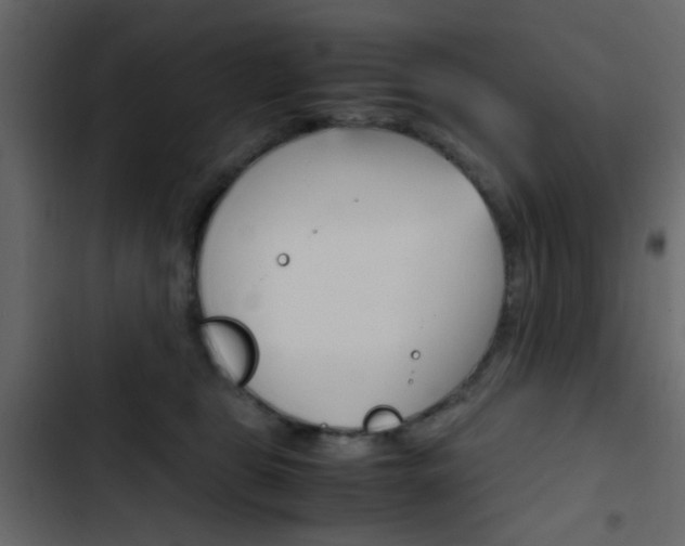 X0000103900469200809191059
