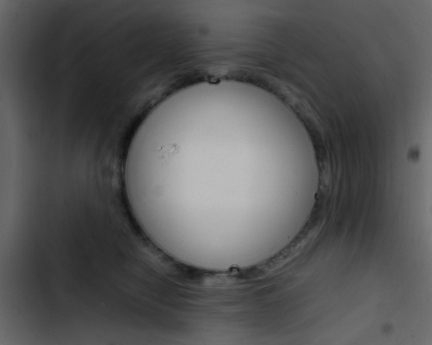 X0000103900470200809191059