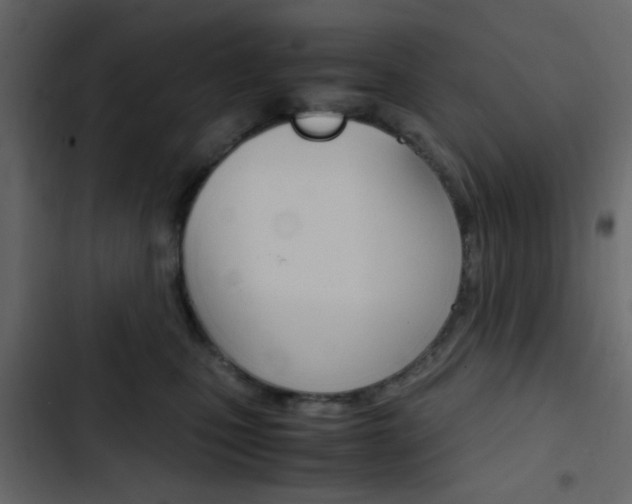 X0000103900471200809191059