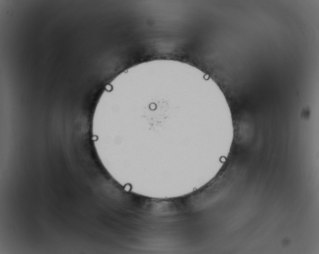 X0000103900472200809191059
