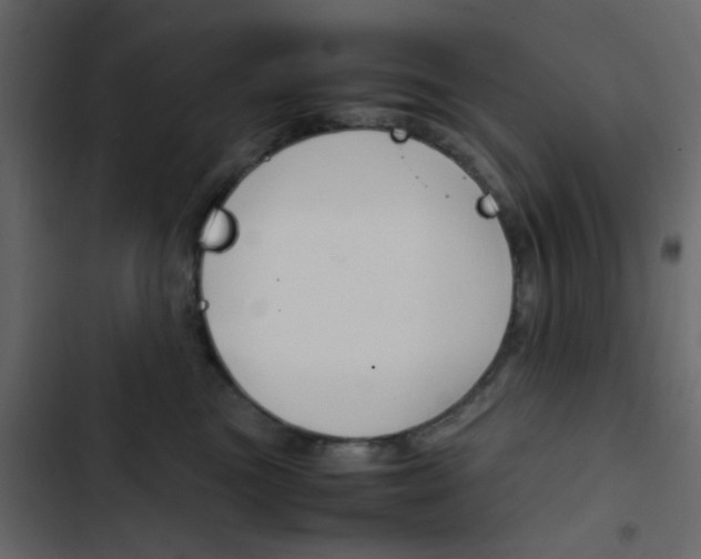 X0000103900473200809191059