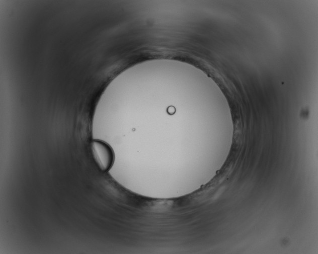 X0000103900474200809191059