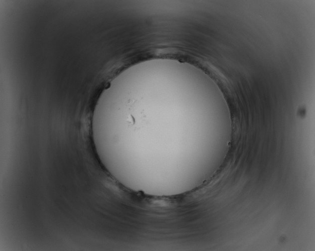 X0000103900475200809191059