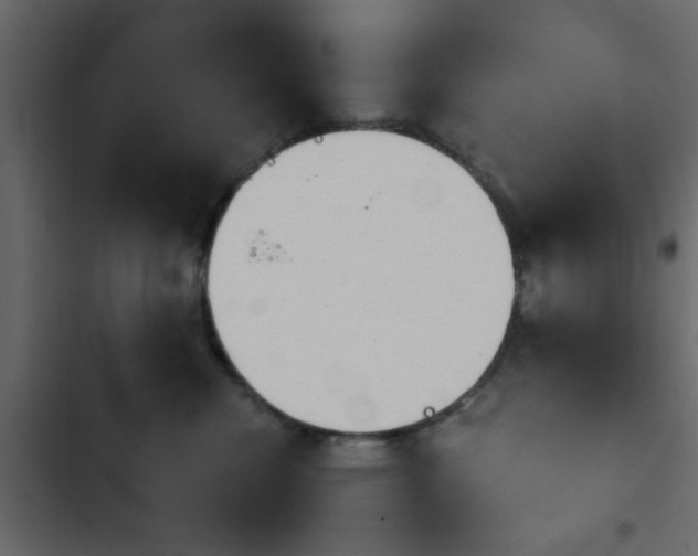 X0000103900476200809191059