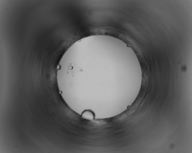 X0000103900477200809191059