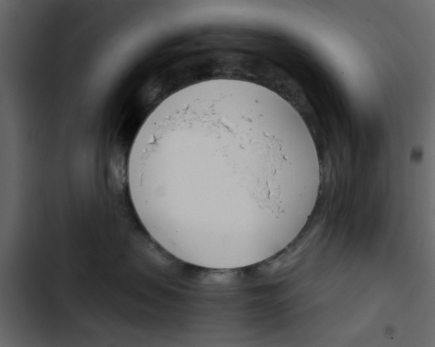 X0000103900479200809191059