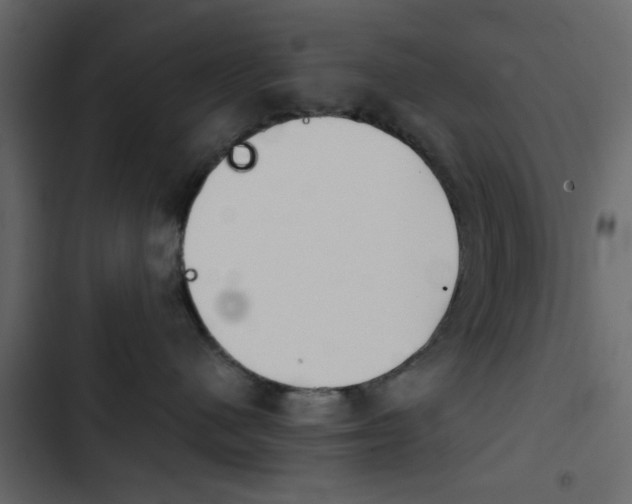 X0000103900480200809191059