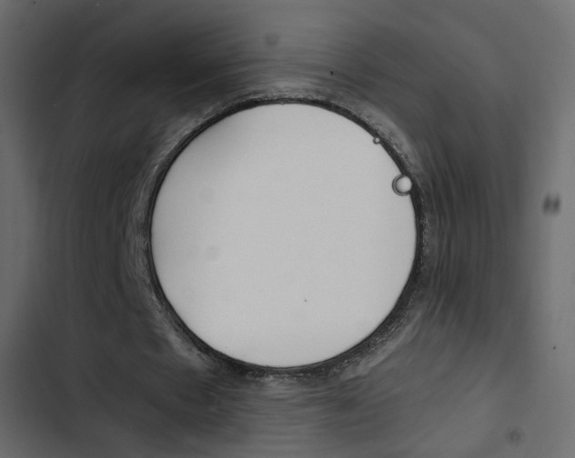 X0000103900481200809191059