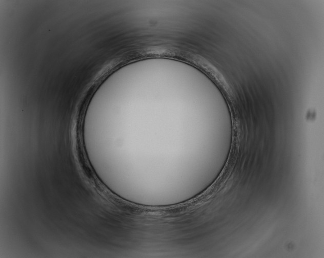 X0000103900482200809191059