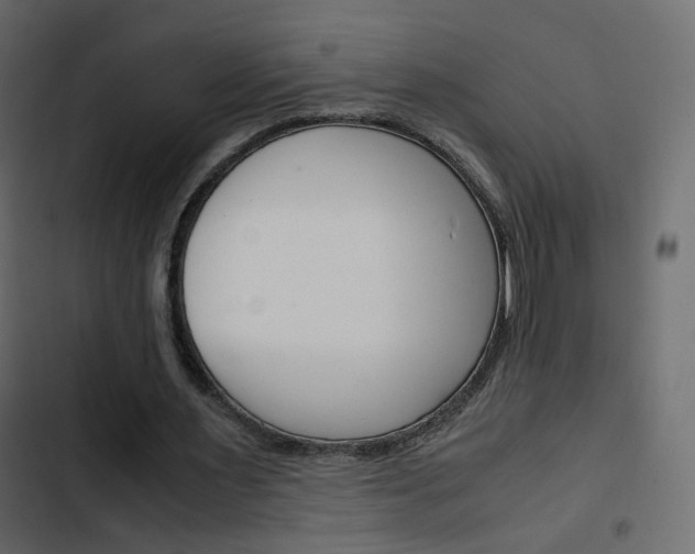 X0000103900483200809191059