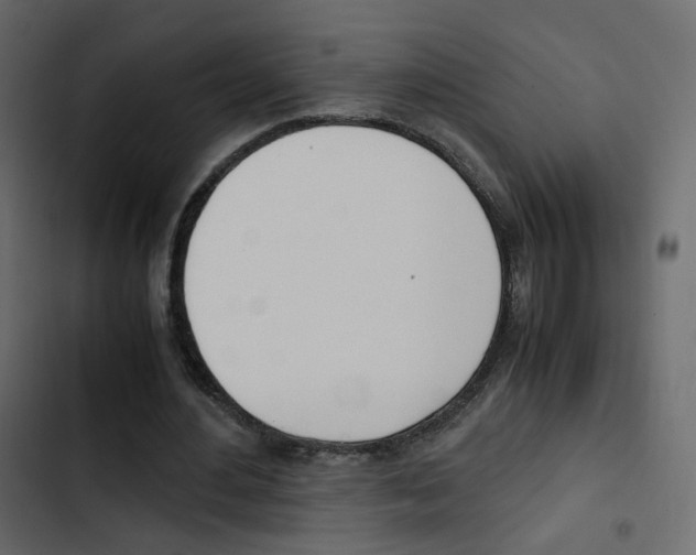 X0000103900484200809191059