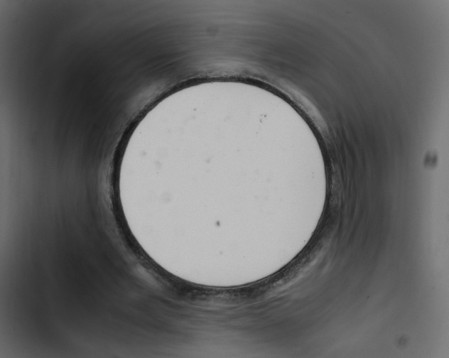 X0000103900485200809191059