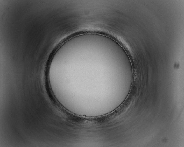 X0000103900487200809191059