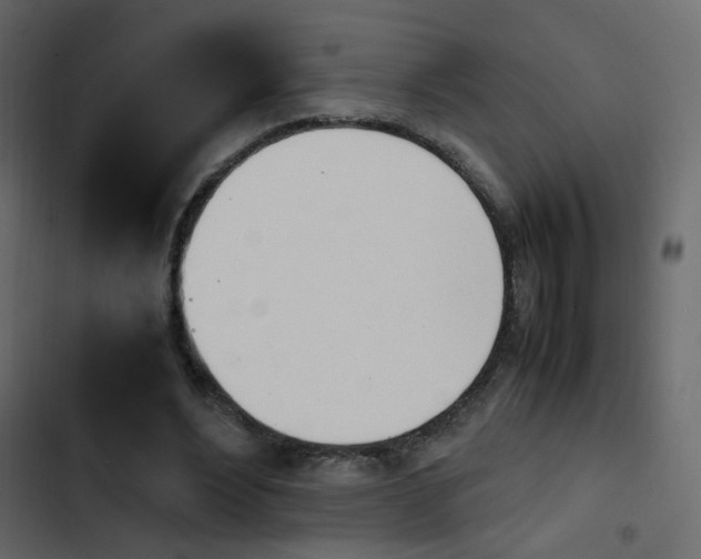 X0000103900488200809191059