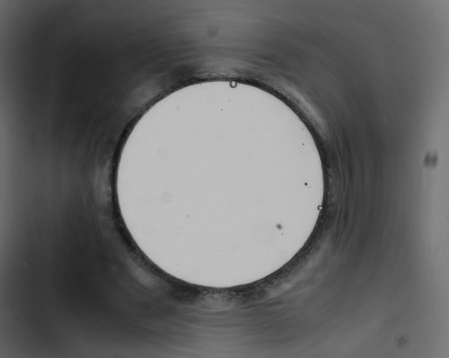 X0000103900489200809191059