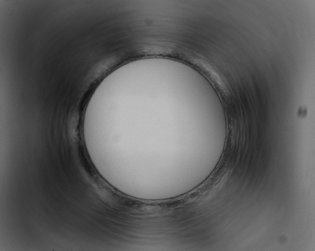 X0000103900490200809191058