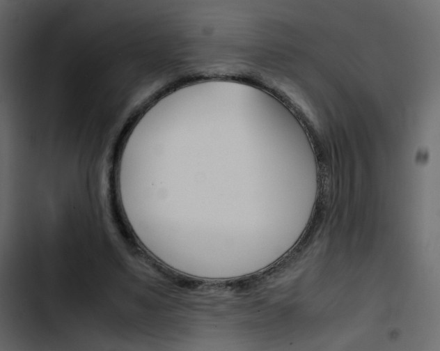 X0000103900491200809191058