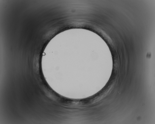 X0000103900493200809191058