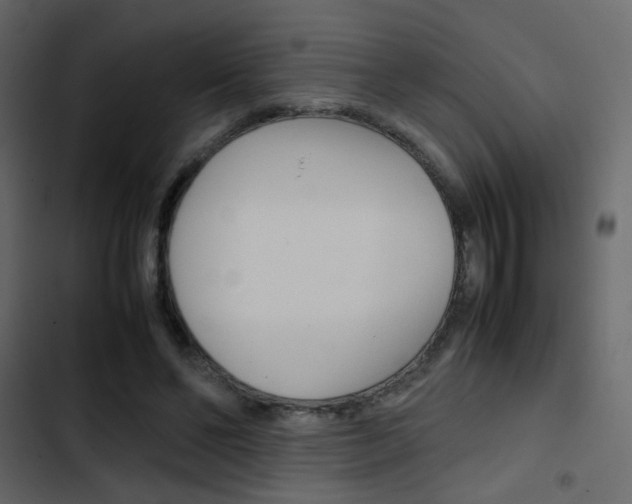 X0000103900494200809191058