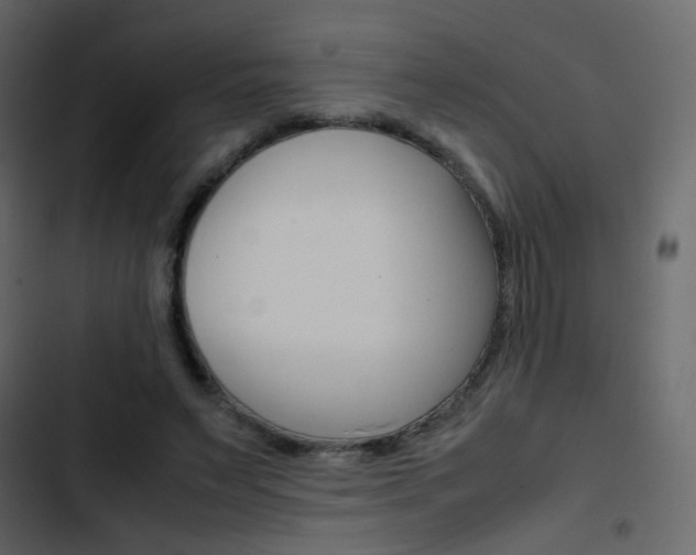 X0000103900495200809191058
