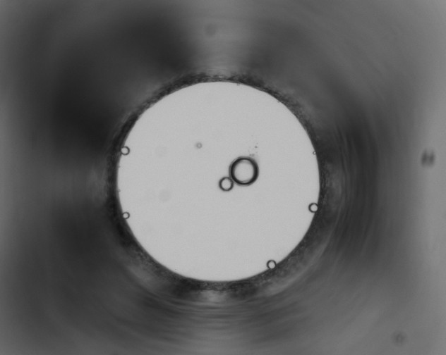 X0000103900496200809191058