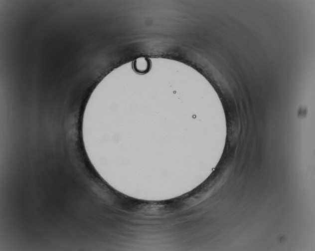 X0000103900497200809191058