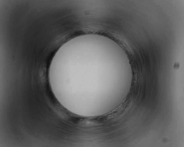 X0000103900498200809191058