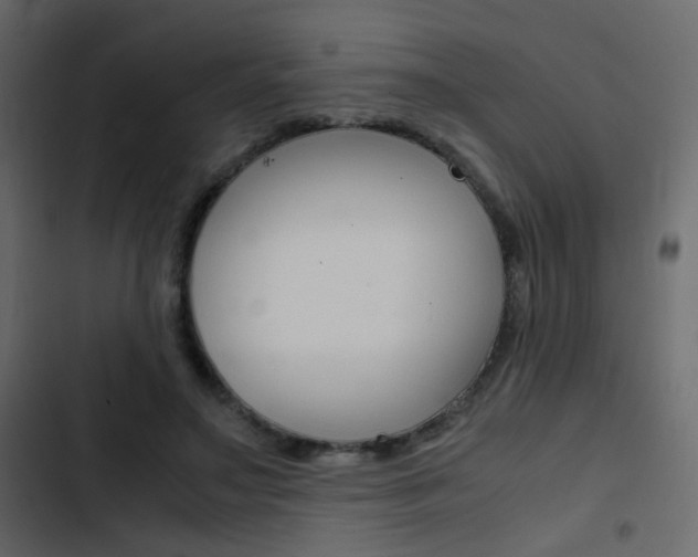 X0000103900499200809191058