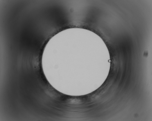 X0000103900500200809191058