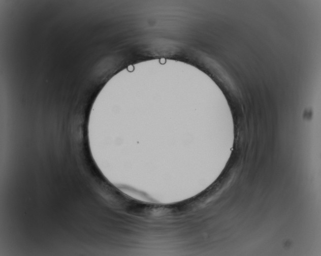 X0000103900501200809191058