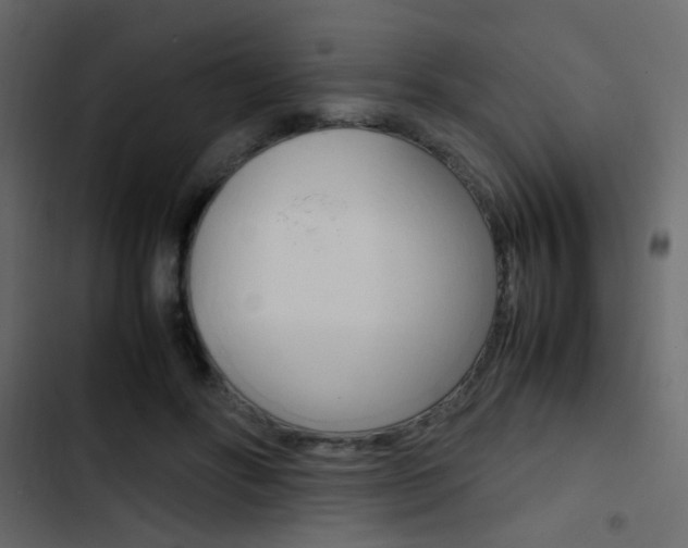 X0000103900502200809191058