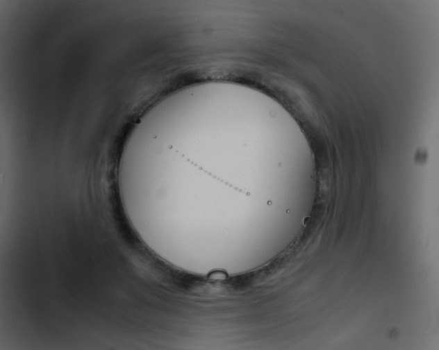 X0000103900503200809191058