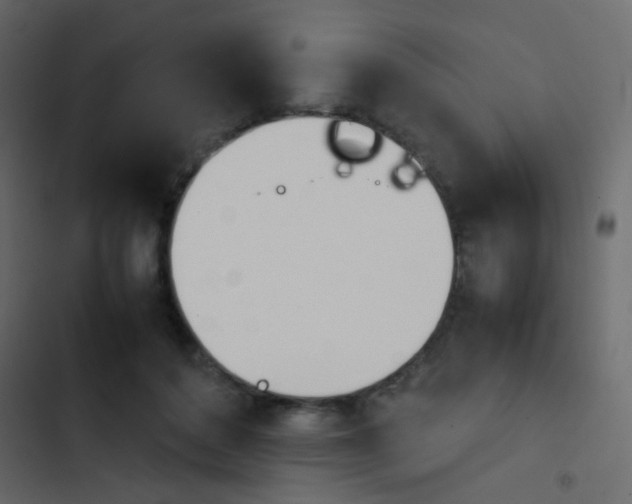 X0000103900504200809191058