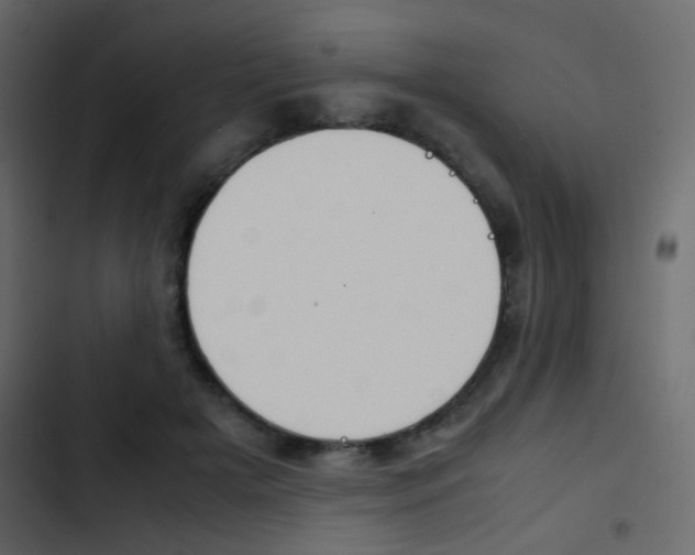 X0000103900505200809191058