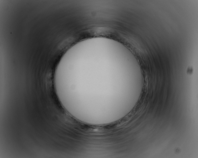 X0000103900506200809191058